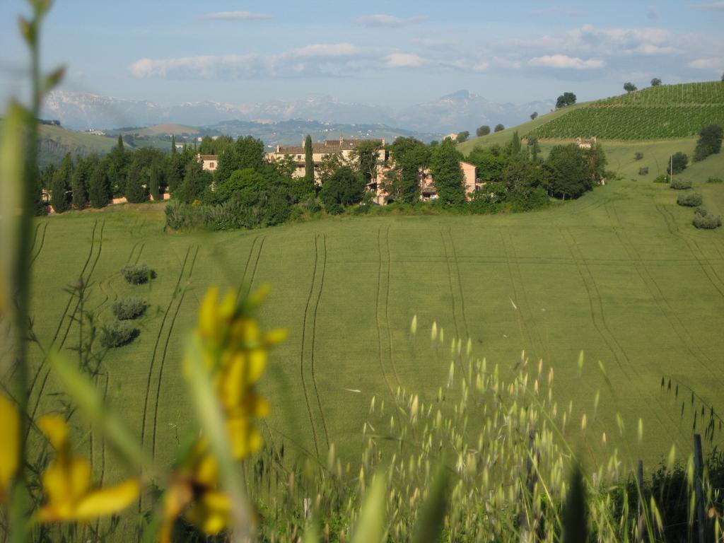 Agriturismo La Campana Villa Montefiore dell'Aso Ngoại thất bức ảnh